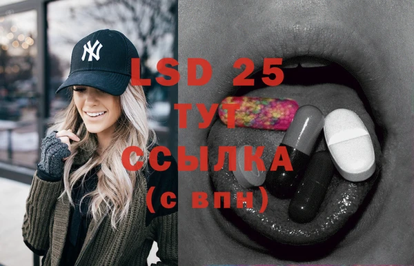 PSILOCYBIN Армянск