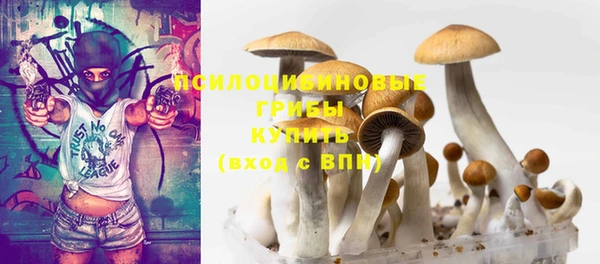 PSILOCYBIN Армянск